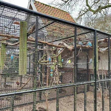 Design Family In Center 6p & Baby * Lejda